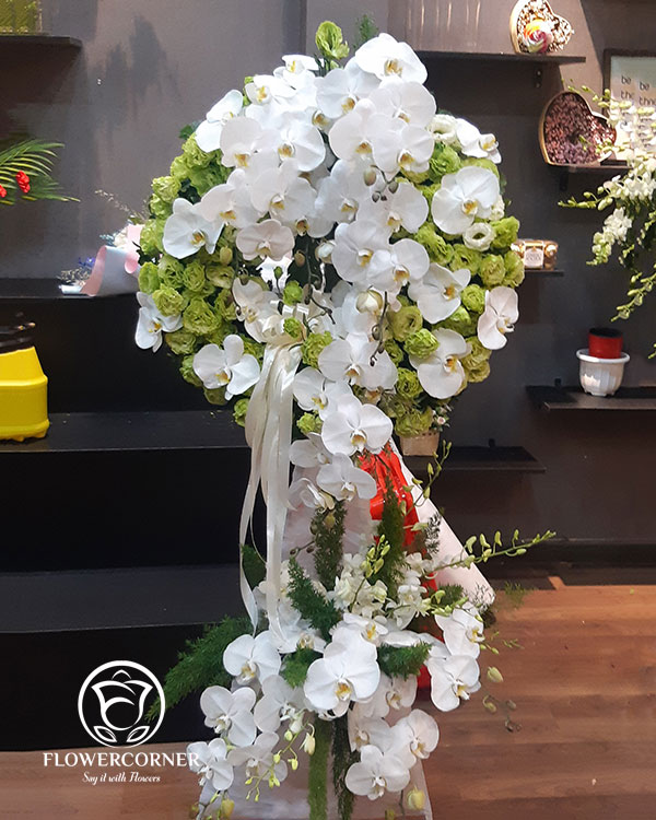 hoa lan viếng lễ tang hoa lan viếng lễ tang